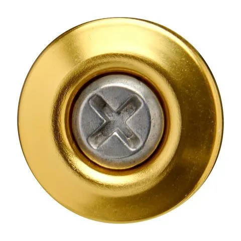 Biltwell Helmet Hardware Kit SS Screw/ Gold Baseplate