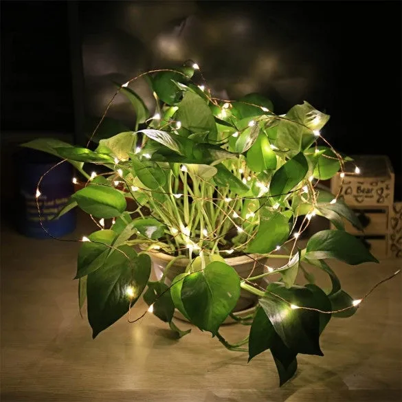 Coocheer 10M Waterproof Copper Wire Warm White LED Starry 100 LEDs String Lights For Christmas Wedding And Party