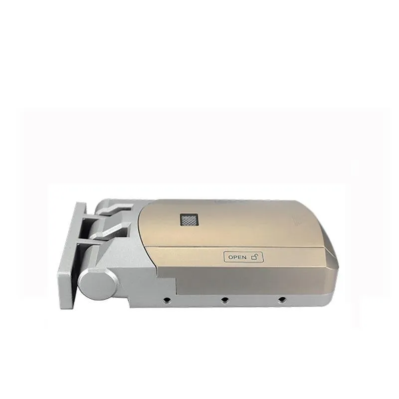 GT100 Smart Lock for outdoors (RFID card, remote control and keypad)