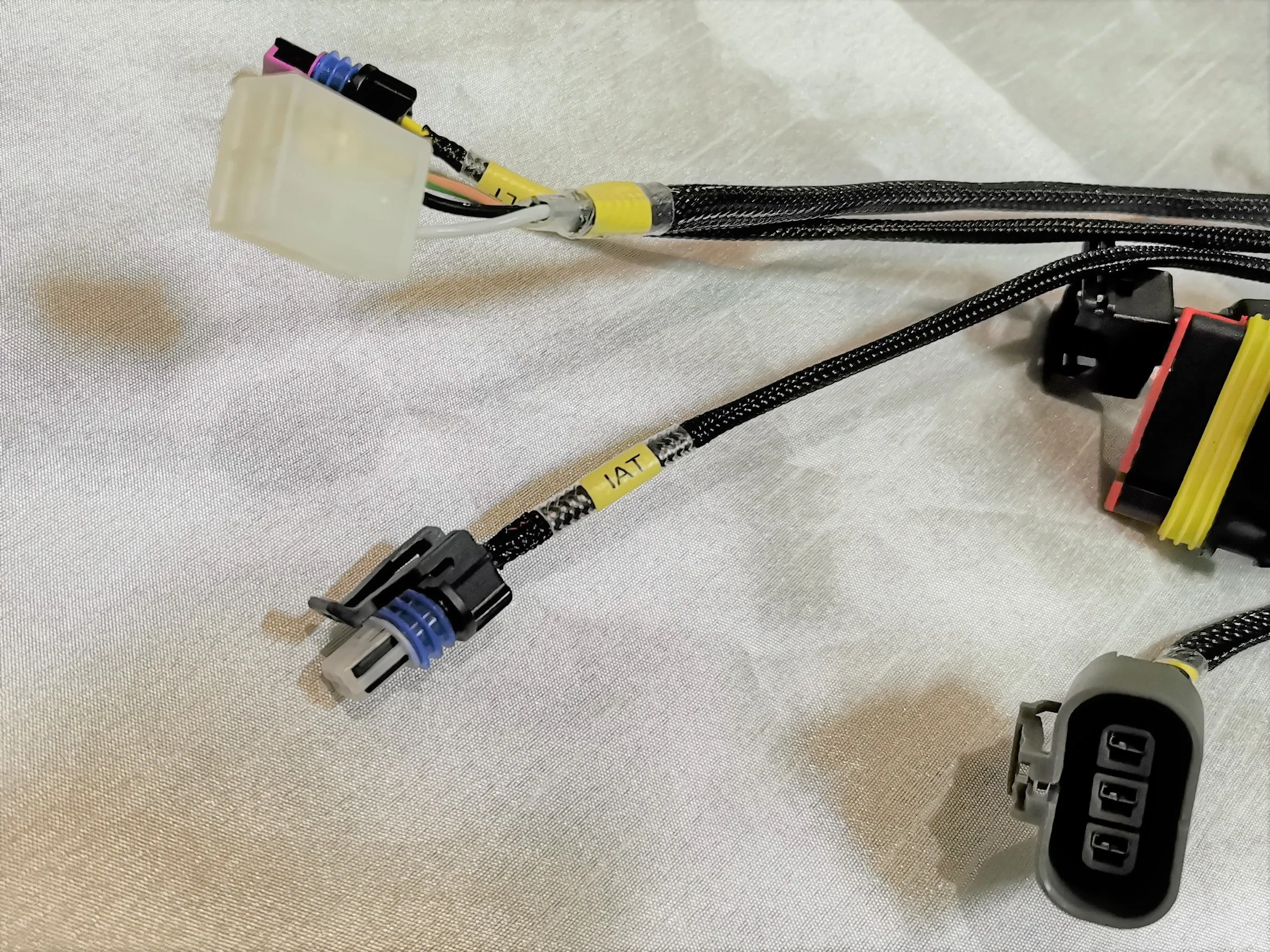 MS2 ECU   L-Series Terminated Harness & Fusebox