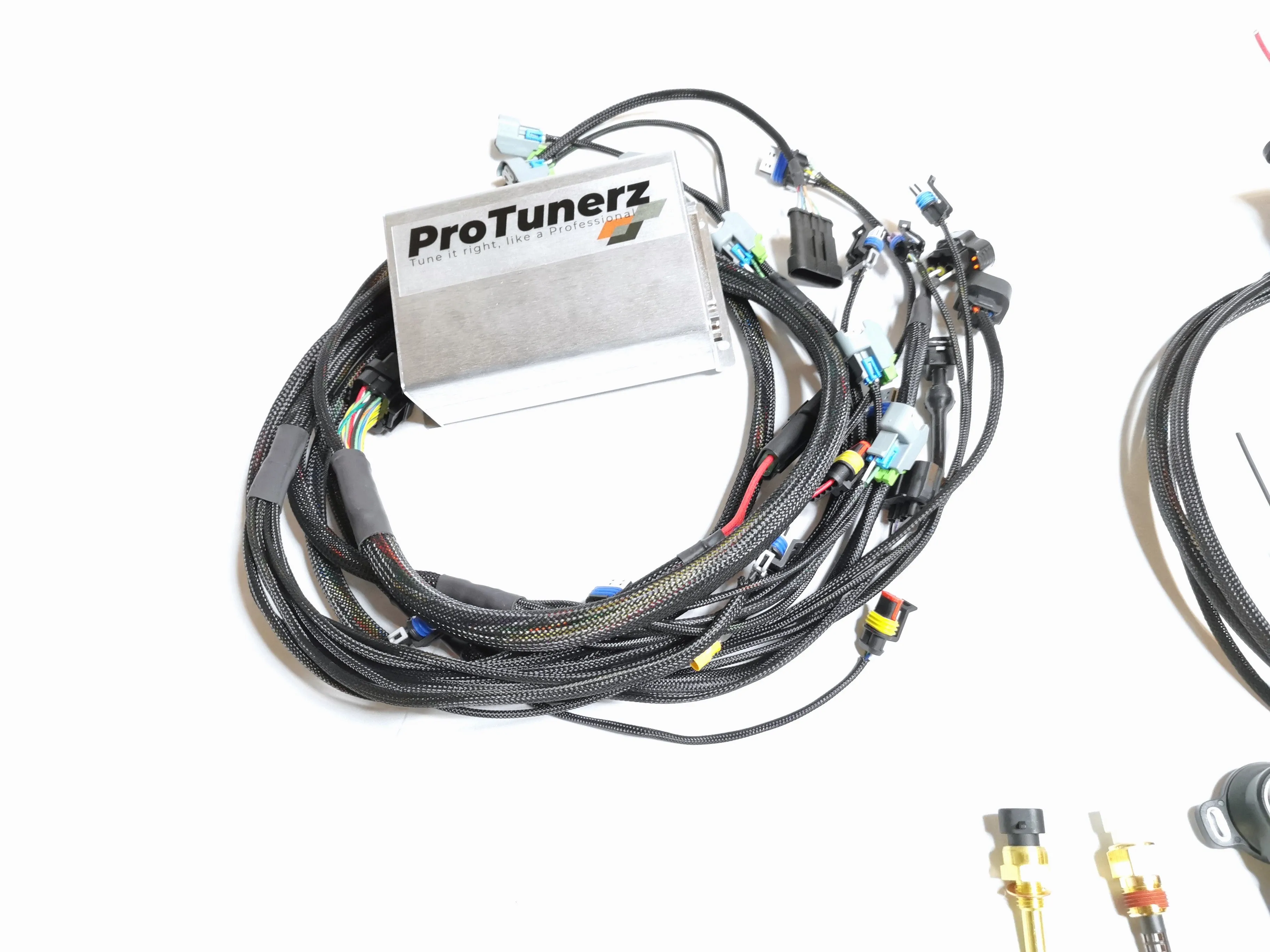 MS2 ECU   L-Series Terminated Harness & Fusebox