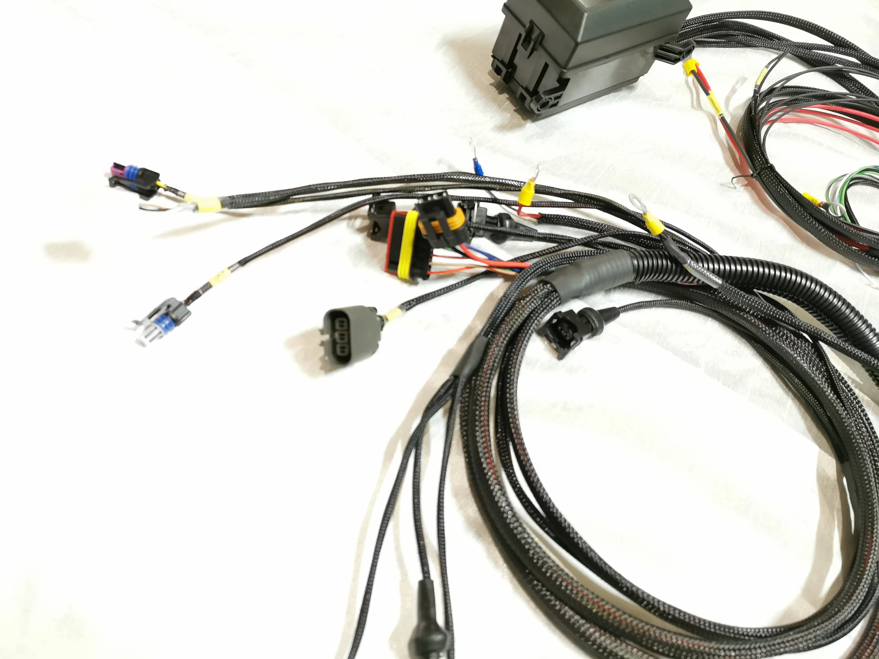 MS2 ECU   L-Series Terminated Harness & Fusebox