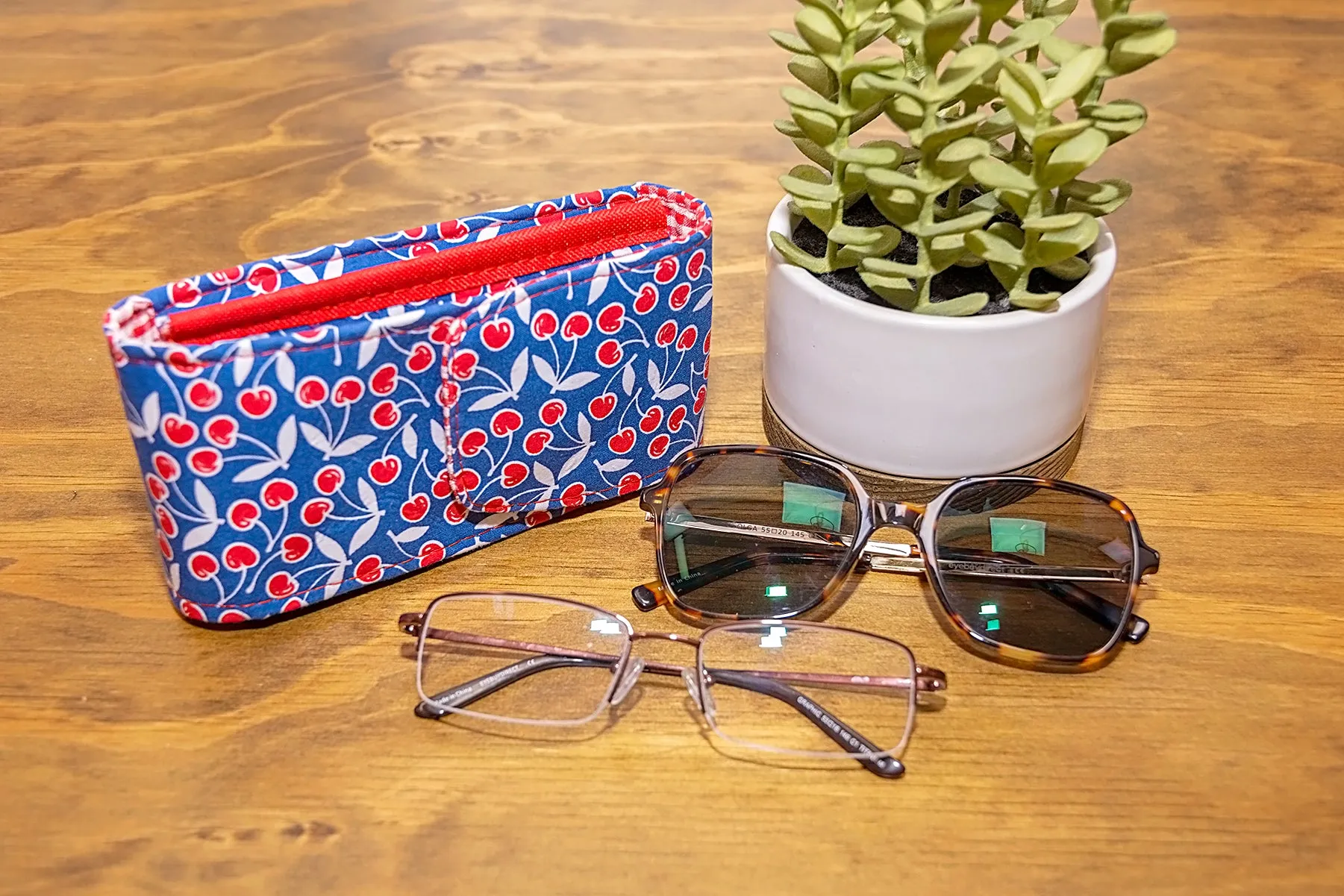 Sewing Pattern with video | The Double Vision Case